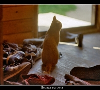 2539 Первая встреча.jpg