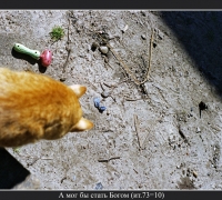 2540 А мог бы стать Богом 1.jpg