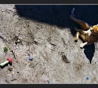 2541 А мог бы стать Богом 2.jpg